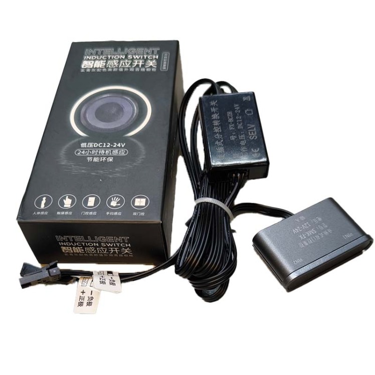 سنسور حرکتی دو چشمی